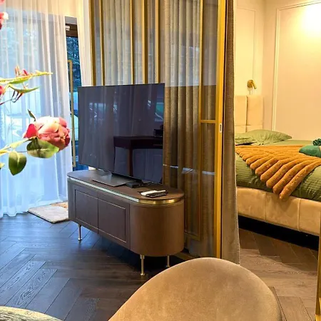 Luxurious Flat