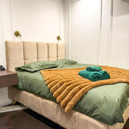 Luxurious Flat