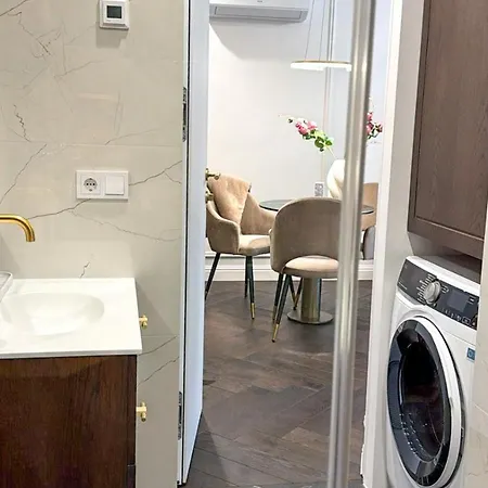 Luxurious Flat Wilno